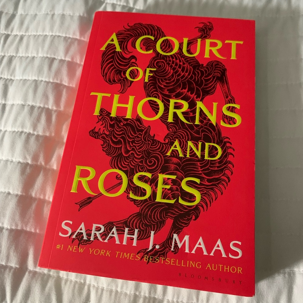 A Court of Thorns and Roses Book Paperback EUC